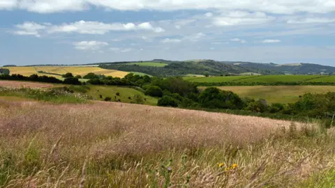 Stuart Wakeham Fields and trees 