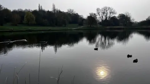 Hampstead Heath pond with smooth, reflective water showing the faint reflection of the sun and surrounding trees. Several ducks float near the center-right of the image. The far bank is lined with grass, trees, and shrubs under a hazy, muted sky.