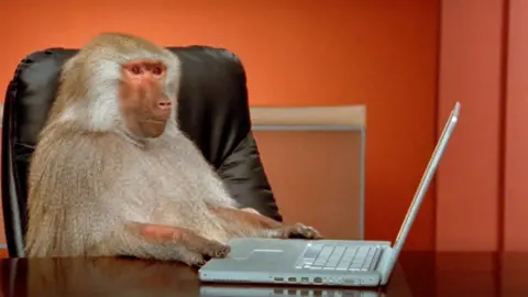 Getty Images A baboon, sitting at a desk, touching a laptop keyboard