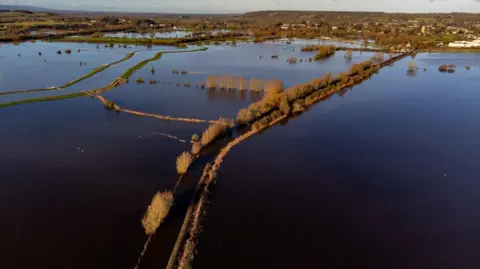 Flooded fields at Muchelney, Somerset in 2023, in an image taken from a drone. The water on the fields is dark and the outline of a flooded road bordered by trees is visible in the foreground. Land that has not been flooded is visible in the distance