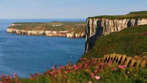 Ellen Leach A view of cliffs and the sea with greenery and pink flowers on top