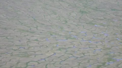 Gustaf Hugelius peatland