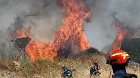 A wildfire in Greece. Firefighters are attempting to tackle a huge wall of flames in dry shrubland. 