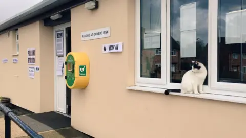 Twitter/ @cbowyercreative Cat sitting on window of polling station in Yorkshire