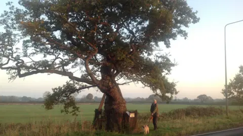A large oak tree can be seen in the foreground in front of farmland, with a woman and a dog stood next to it
