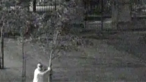 Loughborough Grammar School Man snapping a tree