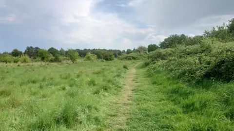 A large green field surrounded by trees with a footpath running through it