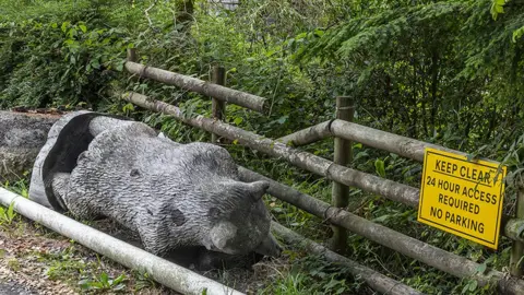 Chris Prichard Photo of the bear lying on the verge