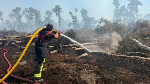 Yaxley Community Fire and Rescue Station A man in the foreground wearing a floppy black hat has a yellow hose over his shoulder and is aiming water at the undergrowth, which is smoking. There are cut trees all around him, and some tall standing trees in the background.