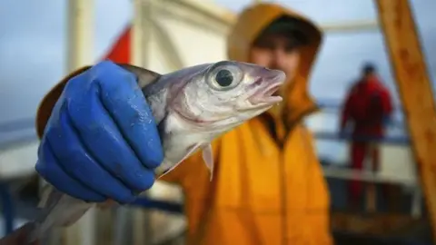 Getty Images Scottish fisherman