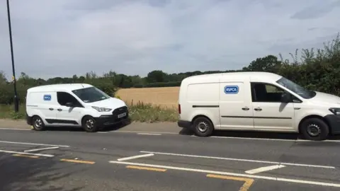 Katie Fuller RSPCA vans