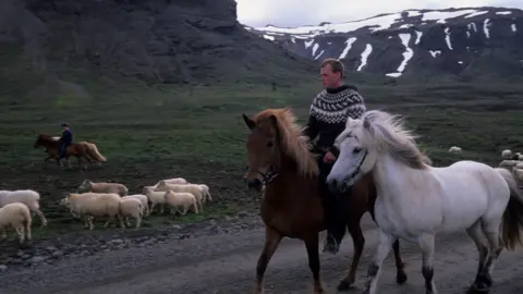 Wolfgang Kaehler/Getty Images Icelandic sheep farmers 2002
