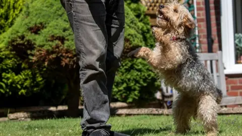 PA Media Rescue dog Bella with her new family