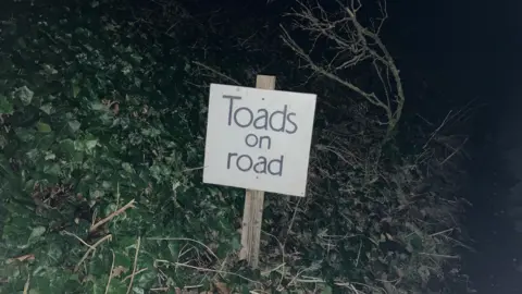 Emily Coady-Stemp/BBC A sign in the verge at the side of the road which reads toads on road in black letters on a white background