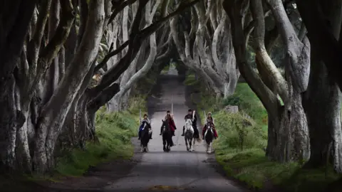 A tunnel of beech trees form a ceiling over a rural road surrounded by grass. The trees are bare and the road is narrow. There are four people on horses coming down the road. 