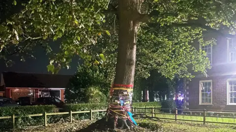 Protect Newark's Green Spaces Sycamore tree