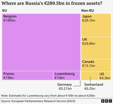 Gráfico que muestra dónde se encuentran los activos congelados de Rusia