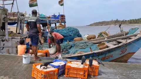 Maharashtra: 'We spend hours at sea, but there's no fish