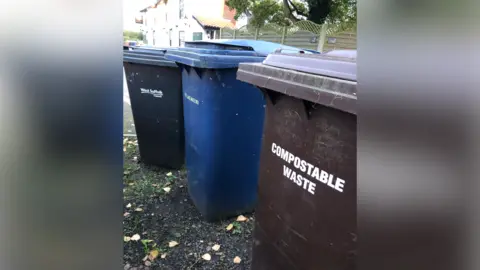 Vikki Irwin/BBC A general view of waste bins on a street. It shows three bins - one black, one blue and one brown.