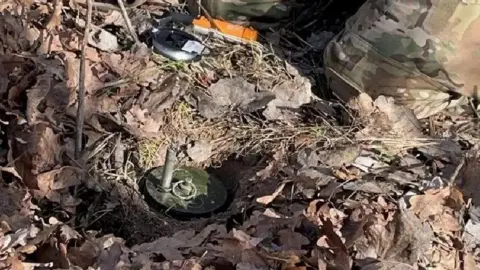 Chris Garrett Land mine uncovered in ground among leaves.