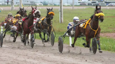 harness racing