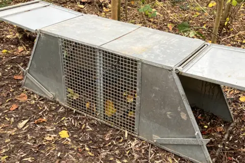 A Bavarian beaver trap full of apples