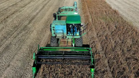 Getty Images Farmer Mark Catterton drives a John Deere Harvester while harvesting soybeans during his fall harvest on October 19, 2018 in Owings, Maryland.