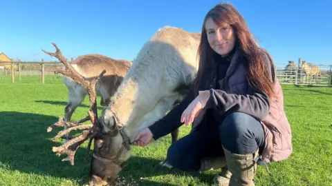 Woman on the right with dark hair and she is wearing a jumper and gilet. She is leaning down and stroking a reindeer. There's two reindeers in the background that are white coated. They have big antlers.