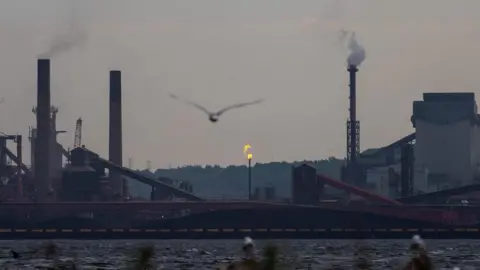 AFP Birds fly over Hamilton Harbour near steel mills in Hamilton, Ontario