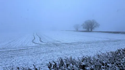 A large field in Somerset which has been covered in snow. In the foreground there is a bush without any leaves left on it. In the distance the sky and horizon is foggy and grey. There are two tyre tracks left in the snow from a tractor.