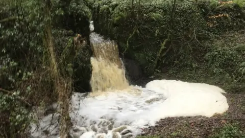 Afonydd Cymru pollution in river near Ferryside, January 2021