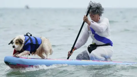 PA Media Dog Masters 2022