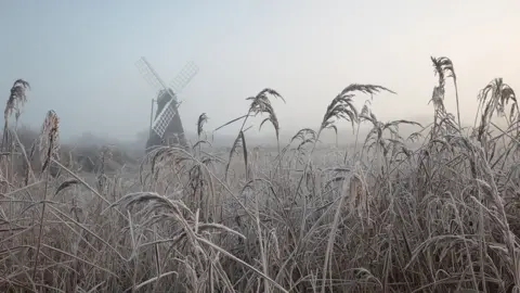 Harry Wheeler-Brand Wicken Fen in Cambridgeshire
