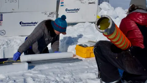 University of Alberta ice cores