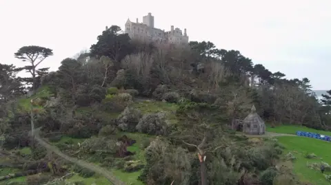 St Michael's Mount in west Cornwall the North slope leading up to the castle is littered with fallen trees. 