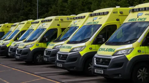 Eight ambulances are parked in parking bays in a line. They are neon yellow, with green lettering reading "ambulance", and there are dark green trees in the background.