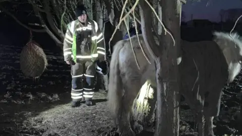 Bedfordshire Fire and Rescue Service Millie the horse stuck between two trees 