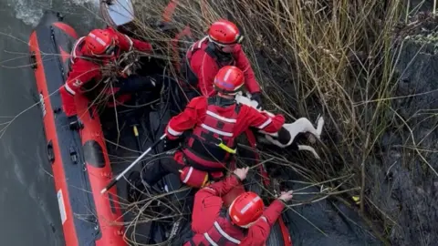 A photo taken from above of four people in red emergency gear on a red boat, trying to help a dog out of some reeds. You can only see the dog's leg but it seems to be on its way onto the boat.