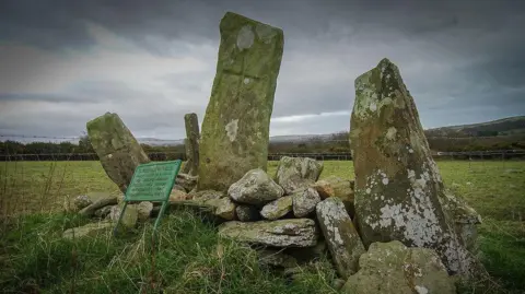 MANX SCENES A collection of stones in the countryside, three of which are tall and standing on end. There is a metal information sign in front of it that is green.