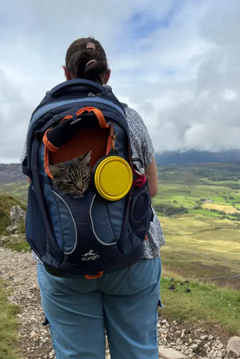 Abby Mayers A woman looking out over an upland view of moors, on her back is a blue rucksack with a cat's head poking out of one of the holes. 