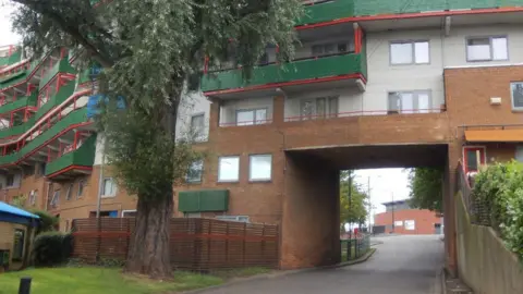 Stephen McKay/Geograph A section of the Byker Wall where it crosses Raby Way. The building is made of red bricks with white render and has green balconies. A tree stands in front of part of the building.
