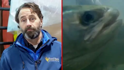 Split screen of a man and the face of a live salmon 