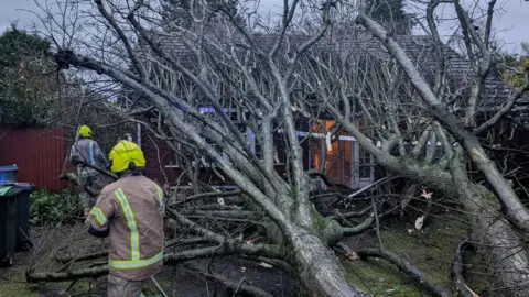 Sandwell Council Two people in safety equipment attempt to clear a large tree that has fallen on a bungalow in Tipton. The door is just about visible through the branches