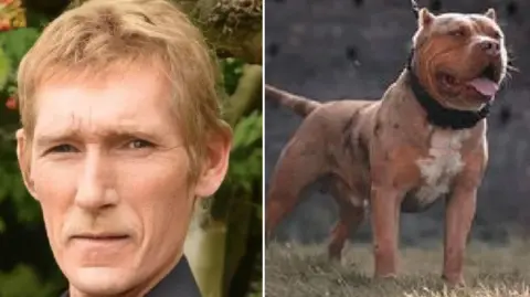 A composite image with a headshot of a man with short blonde hair and another image of an American XL Bully