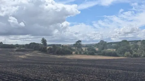 Newton Farm A blackened field, damaged by fire. Behind it is a small area of brown crops and behind that green trees and brown fields in the distance, with blue sky and white clouds above.