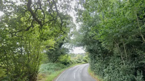 A country road with trees lining each side.