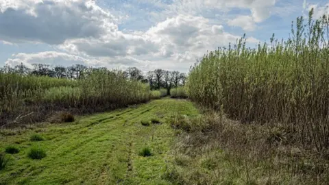 Friends of Stratfield Brake Land on the "Triangle"