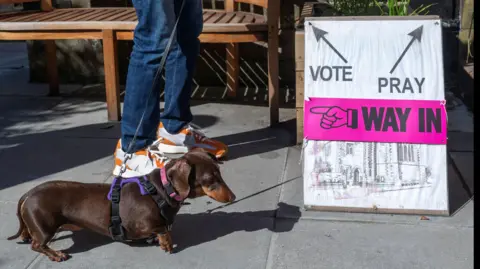 Reuters another dog at a polling station