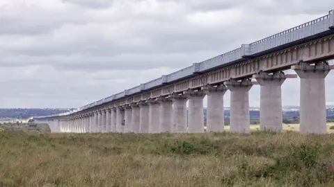 Getty Images Kenya's SGR passing through the Nairobi National park