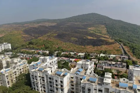 Getty Images Aarey Forest